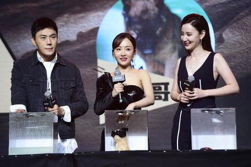 娱乐圈吃瓜合集最全