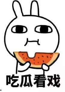 娱乐吃瓜酱参考