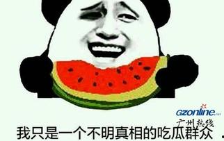 娱乐吃瓜带货是真的吗,真相与影响深度解析